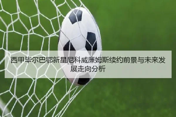 xi-jia-bi-er-ba-e-xin-xing-ni-ke-wei-lian-mu-si-xu-yue-qian-jing-yu-wei-lai-fa-zhan-zou-xiang-fen-xi-2-323.jpg